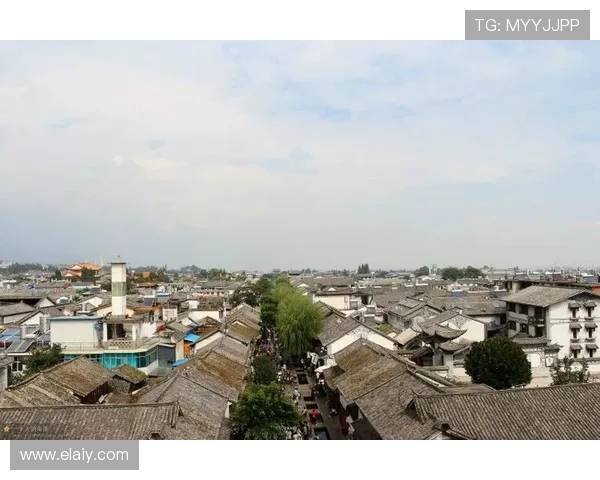 墨西哥国门马拉贡伤缺6至8个月